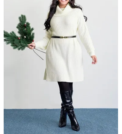 High Turtleneck Textured Sweater Dress